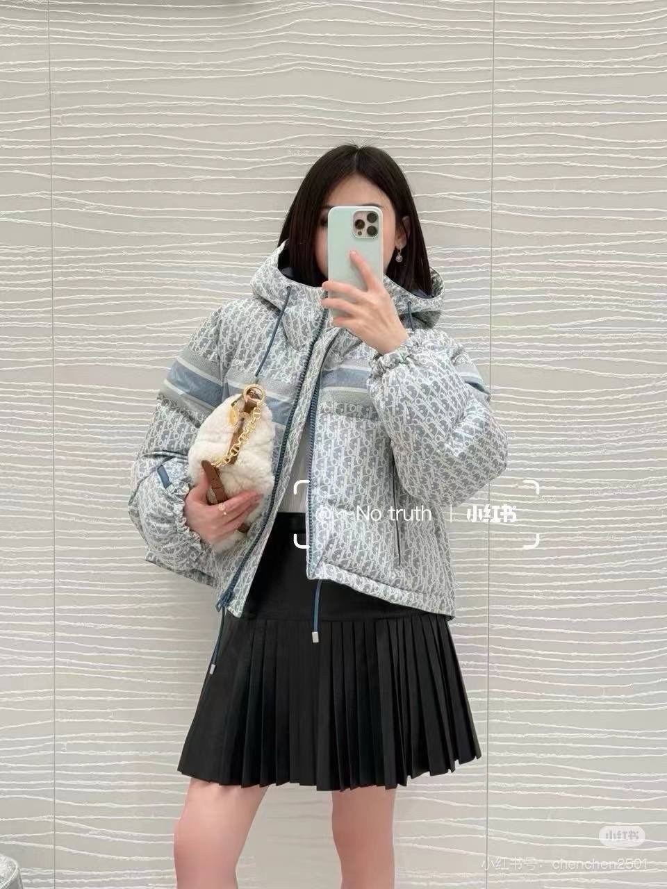 пуховик кристиан диор женский,пуховик-куртка brunello cucinelli женская,женский пуховик prada серый арт. 85v45,пуховик dior,женская куртка loro piana