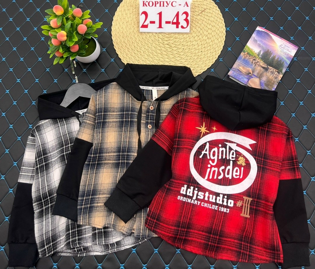 рубашка с капюшоном,детская рубашка,рубашка в клетку с капюшоном,рубашка для мальчика,рубашка с капюшоном мальчику