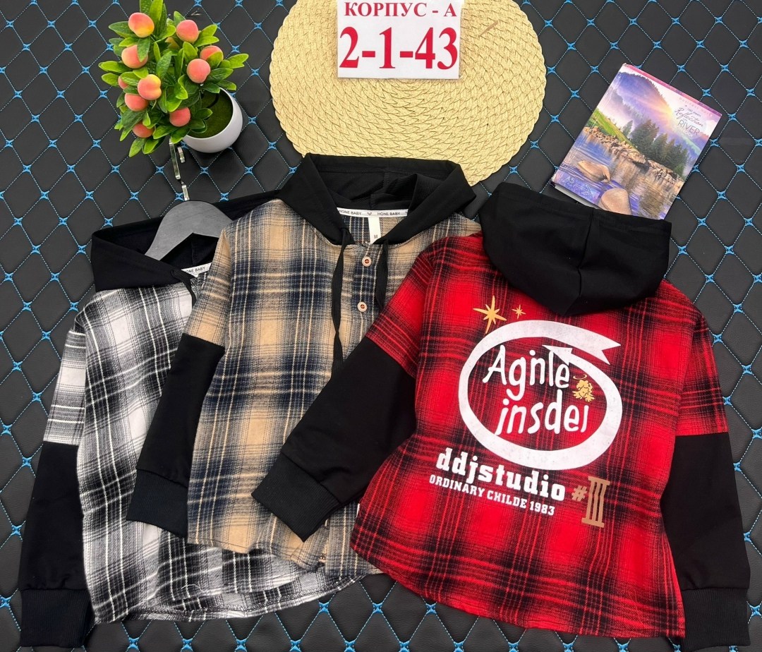 рубашка с капюшоном,рубашка для мальчика,рубашка в клетку с капюшоном,детская рубашка,рубашка с капюшоном мальчику