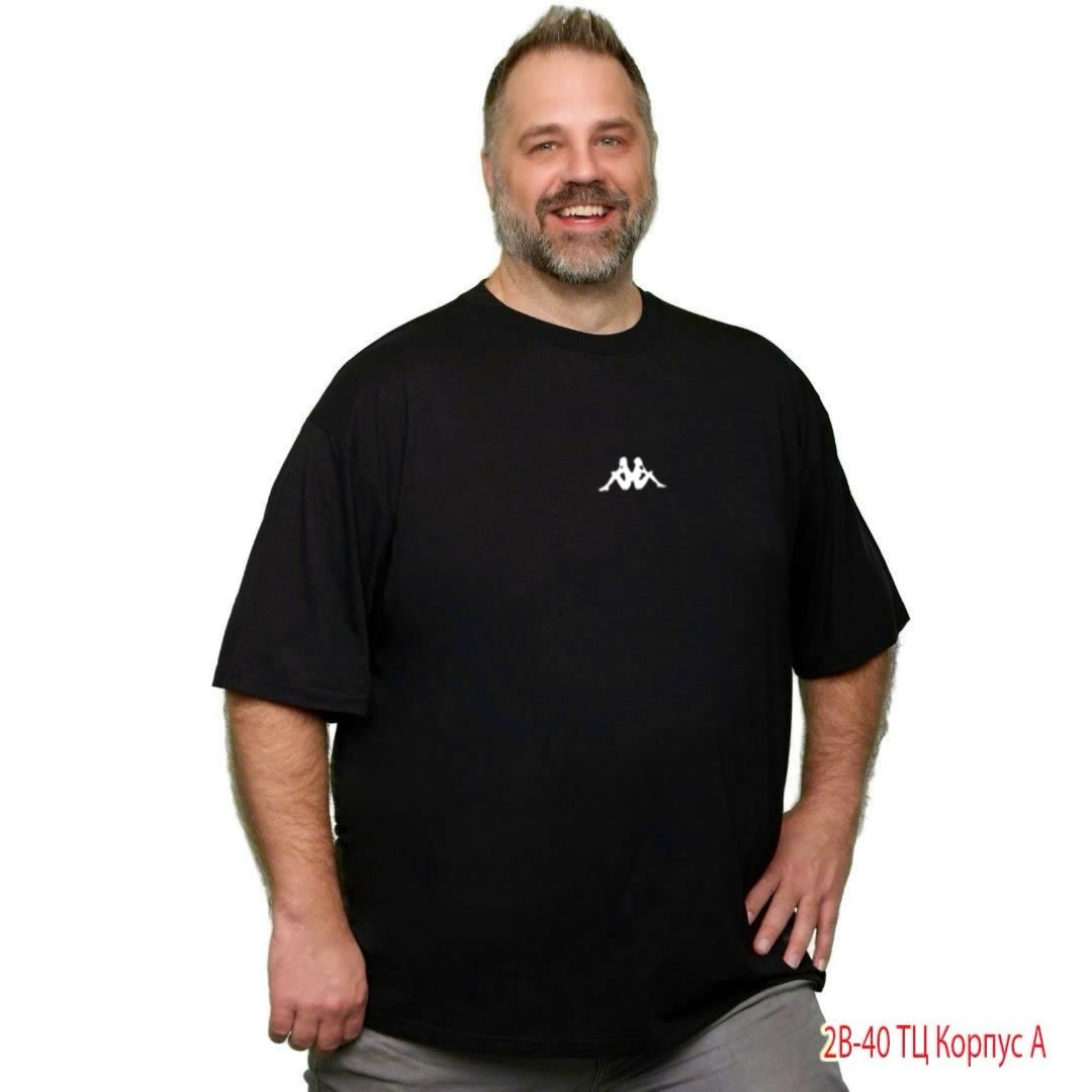 классическая мужская футболка,футболка мужская,футболка найк мужская черная,футболка богатырь,мужская мода