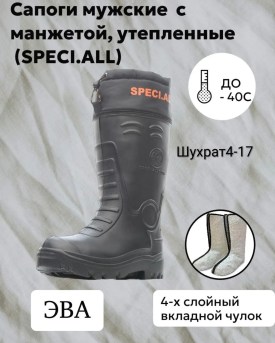 Одежда
