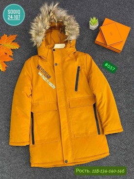 Верхняя одежда