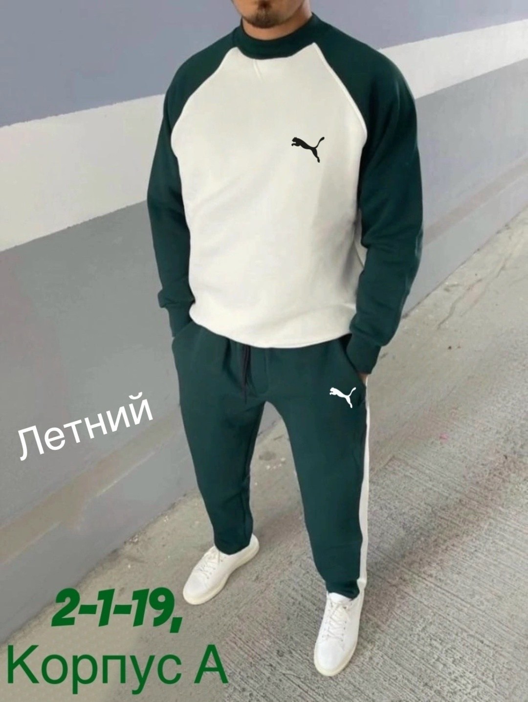 спортивные костюм,спорт костюм,костюмы спортивные мужские,трикотажные костюмы,кофта толстовка