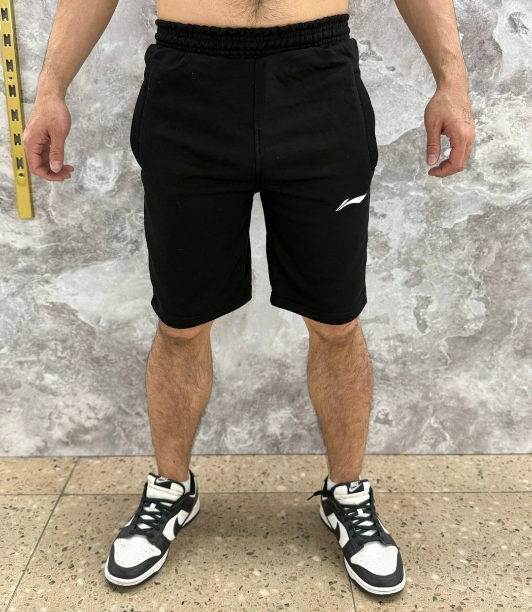 мужские шорты the north face,шорты мужские,шорты the north face,мужские шорты the north face standart short light,мужские спортивные шорты