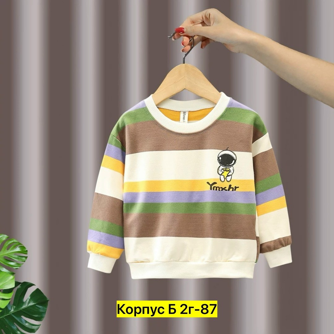 детский свитшот,детский джемпер,кофта для мальчика,свитшот для мальчиков детский,свитшот детский повседневный