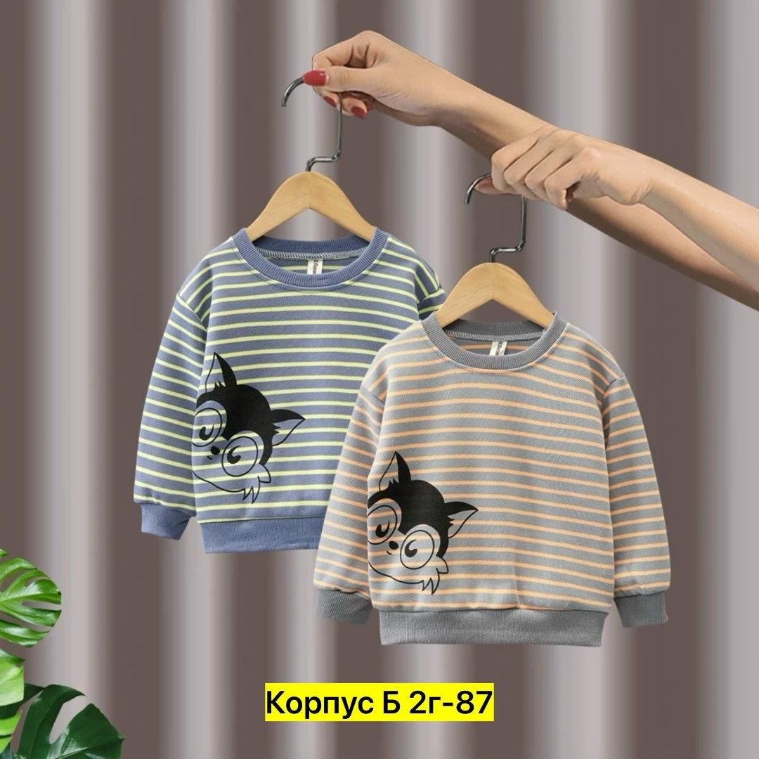 свитшот для мальчика,детский свитшот,свитшот для малыша,детская кофта,кофта толстовка