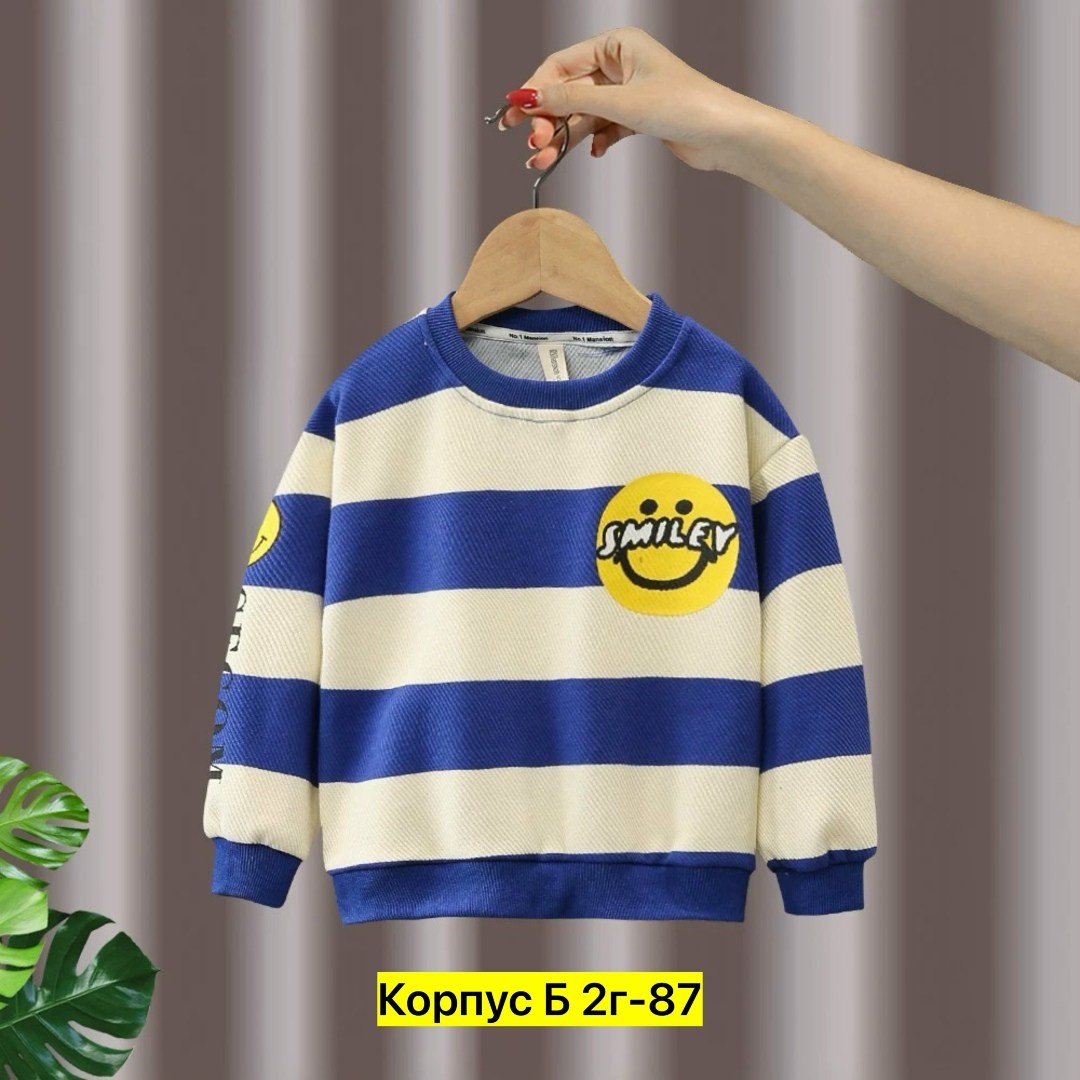 детский свитшот,детский джемпер,кофта для мальчика,свитшот для мальчиков детский,свитшот детский повседневный