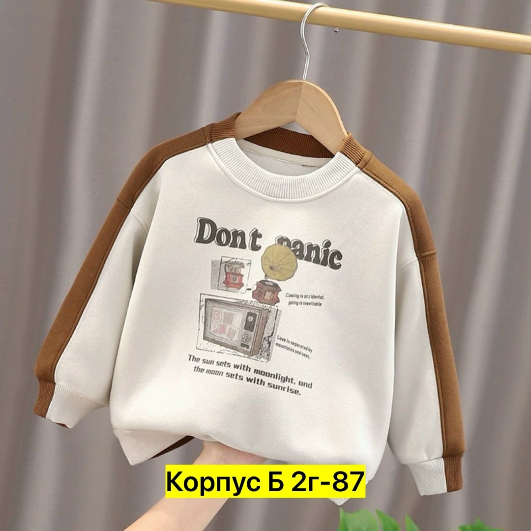 свитшот для мальчика,детский свитшот,свитшот для малыша,детская кофта,кофта толстовка