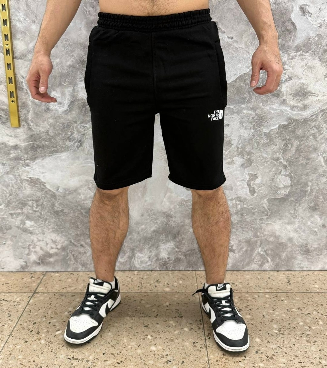 мужские шорты the north face,шорты мужские,шорты the north face,мужские шорты the north face standart short light,мужские спортивные шорты