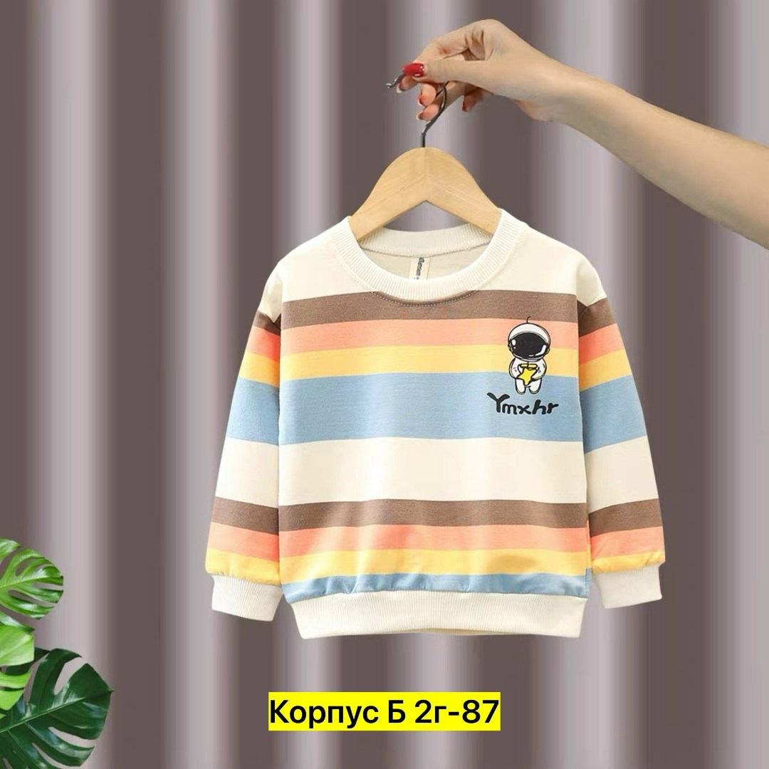детский свитшот,детский джемпер,кофта для мальчика,свитшот для мальчиков детский,свитшот детский повседневный