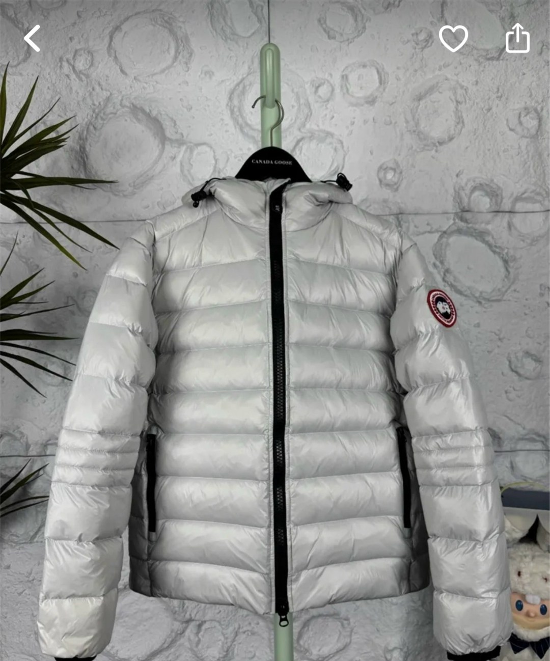 пуховик canada goose,пуховик повседневный,мужские пуховики canada goose,пуховик crofton canada goose,пуховая куртка