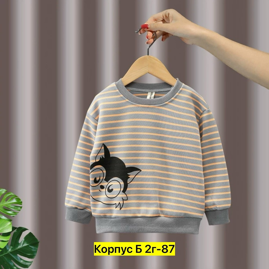 свитшот для мальчика,детский свитшот,свитшот для малыша,детская кофта,кофта толстовка