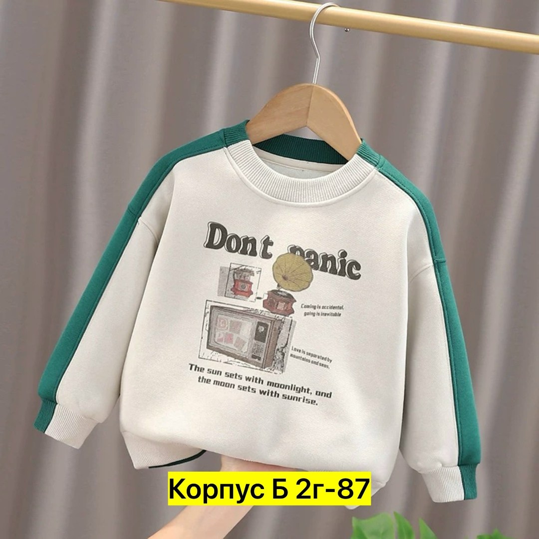 свитшот для мальчика,детский свитшот,свитшот для малыша,детская кофта,кофта толстовка