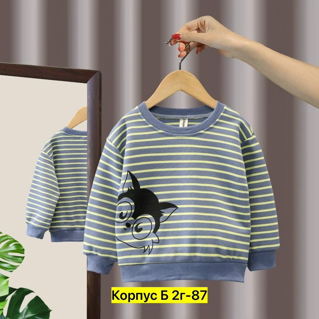 свитшот для мальчика,детский свитшот,свитшот для малыша,детская кофта,кофта толстовка