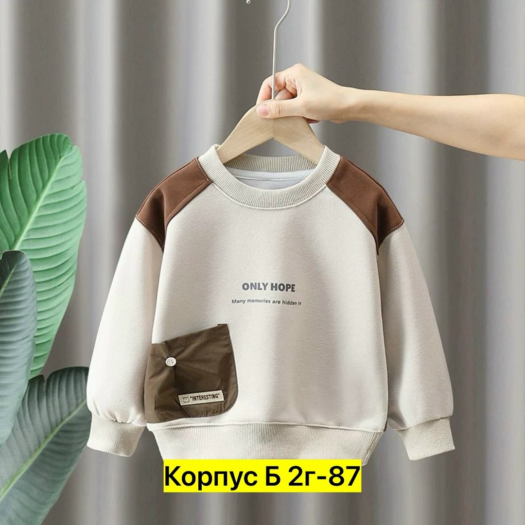 детский свитшот,детский джемпер,кофта для мальчика,свитшот для мальчиков детский,свитшот детский повседневный