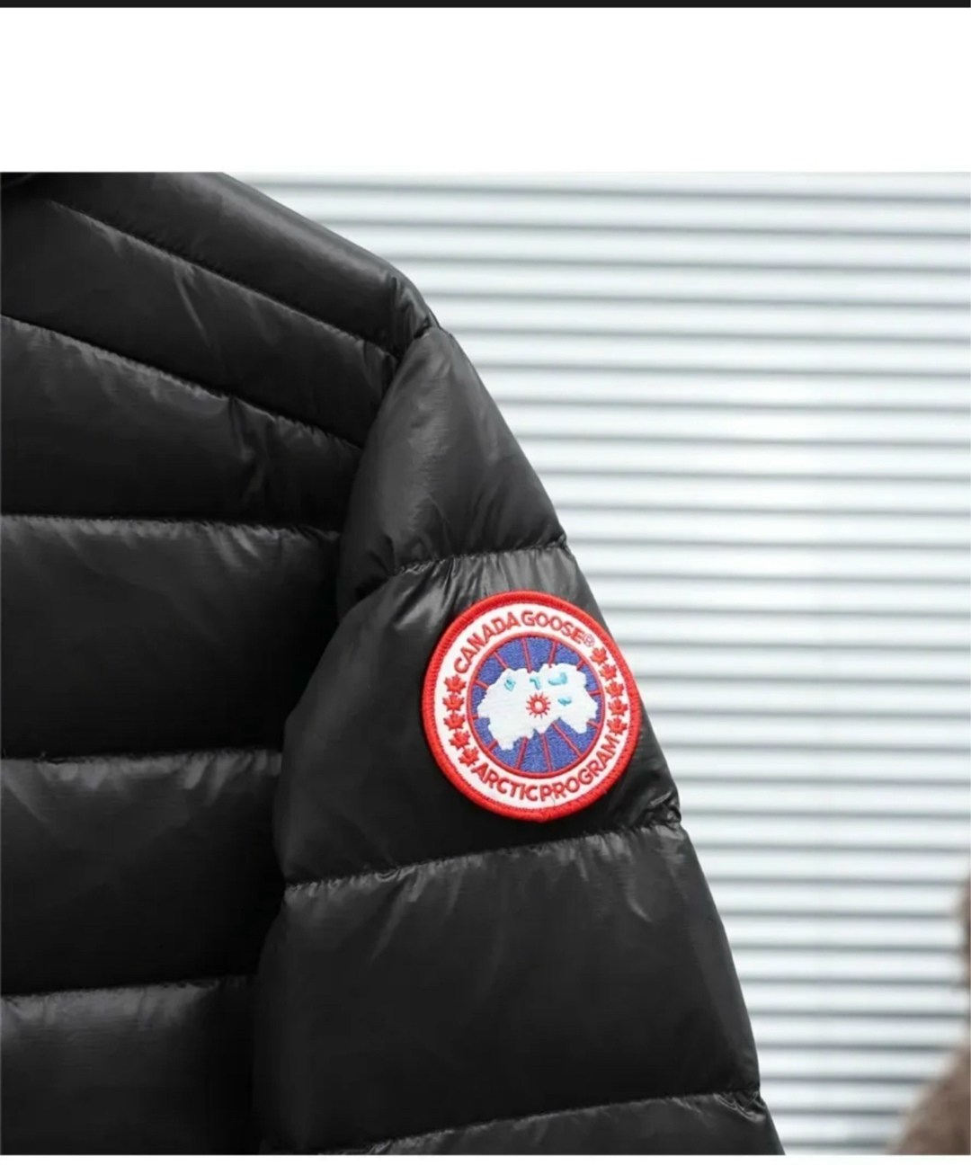 пуховик canada goose,пуховик повседневный,мужские пуховики canada goose,пуховик crofton canada goose,пуховая куртка