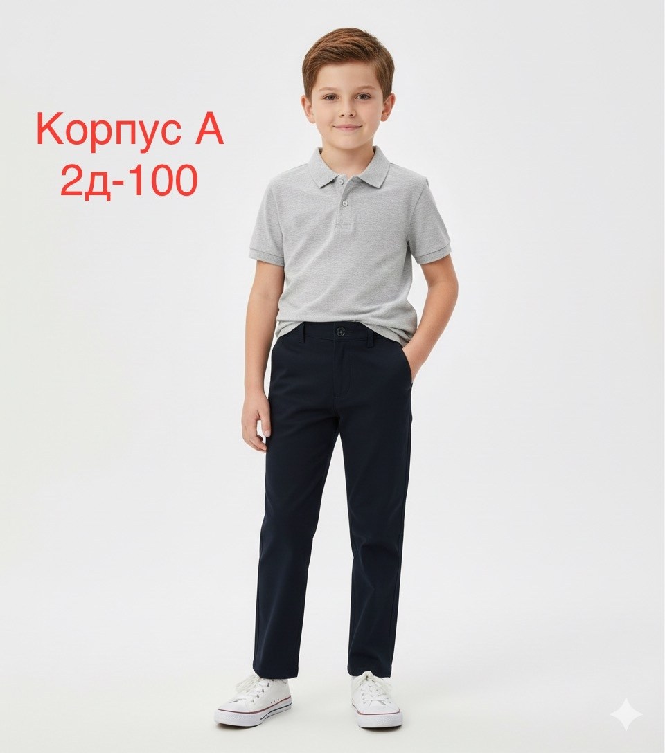 брюки школьные для мальчика,брюки для мальчика,брюки для мальчика школьные классические на,школьные брюки,брюки школьные классические