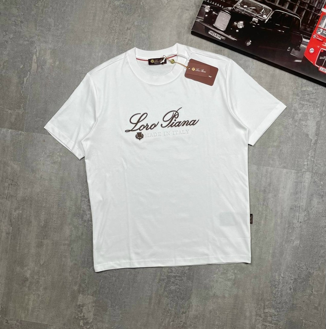 футболка loro piana,мужская футболка loro piana,мужская футболка,стильный свитшот,футболки для мужчин