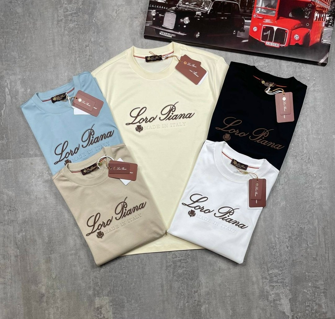 футболка loro piana,мужская футболка loro piana,мужская футболка,стильный свитшот,футболки для мужчин