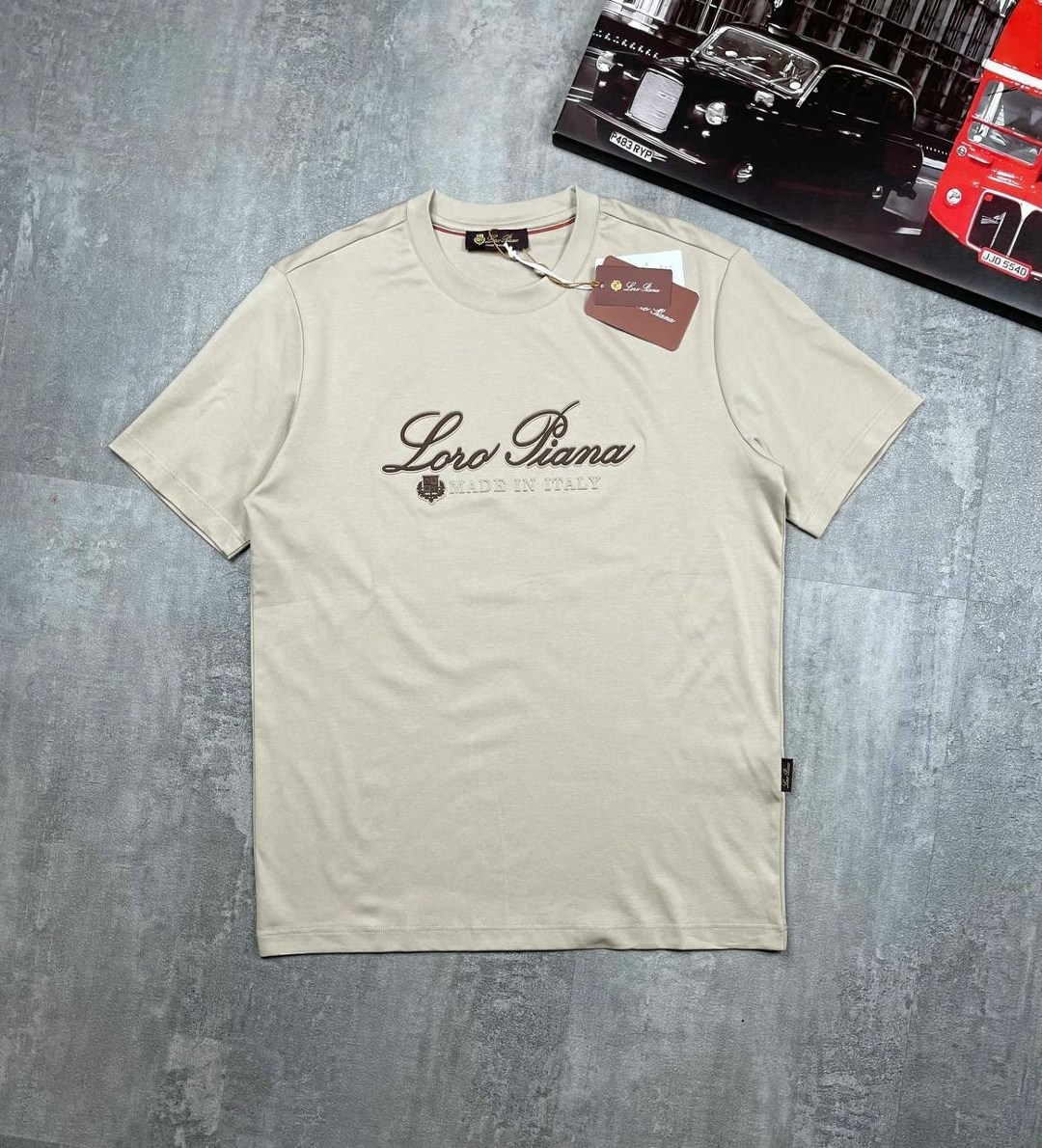 футболка loro piana,мужская футболка loro piana,мужская футболка,стильный свитшот,футболки для мужчин