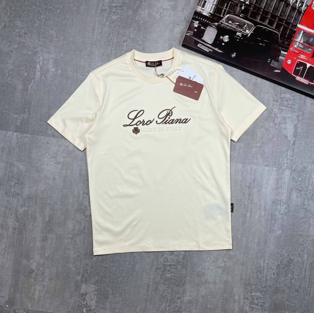 футболка loro piana,мужская футболка loro piana,мужская футболка,стильный свитшот,футболки для мужчин