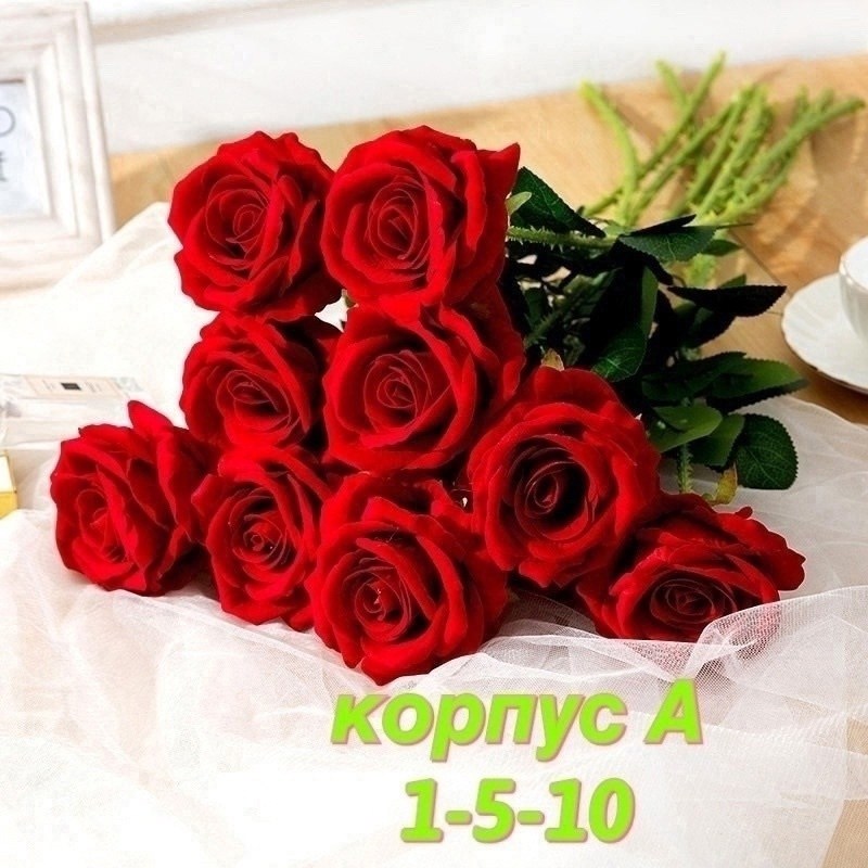 букет красных роз,букет роз,розы,букет,букет алых роз