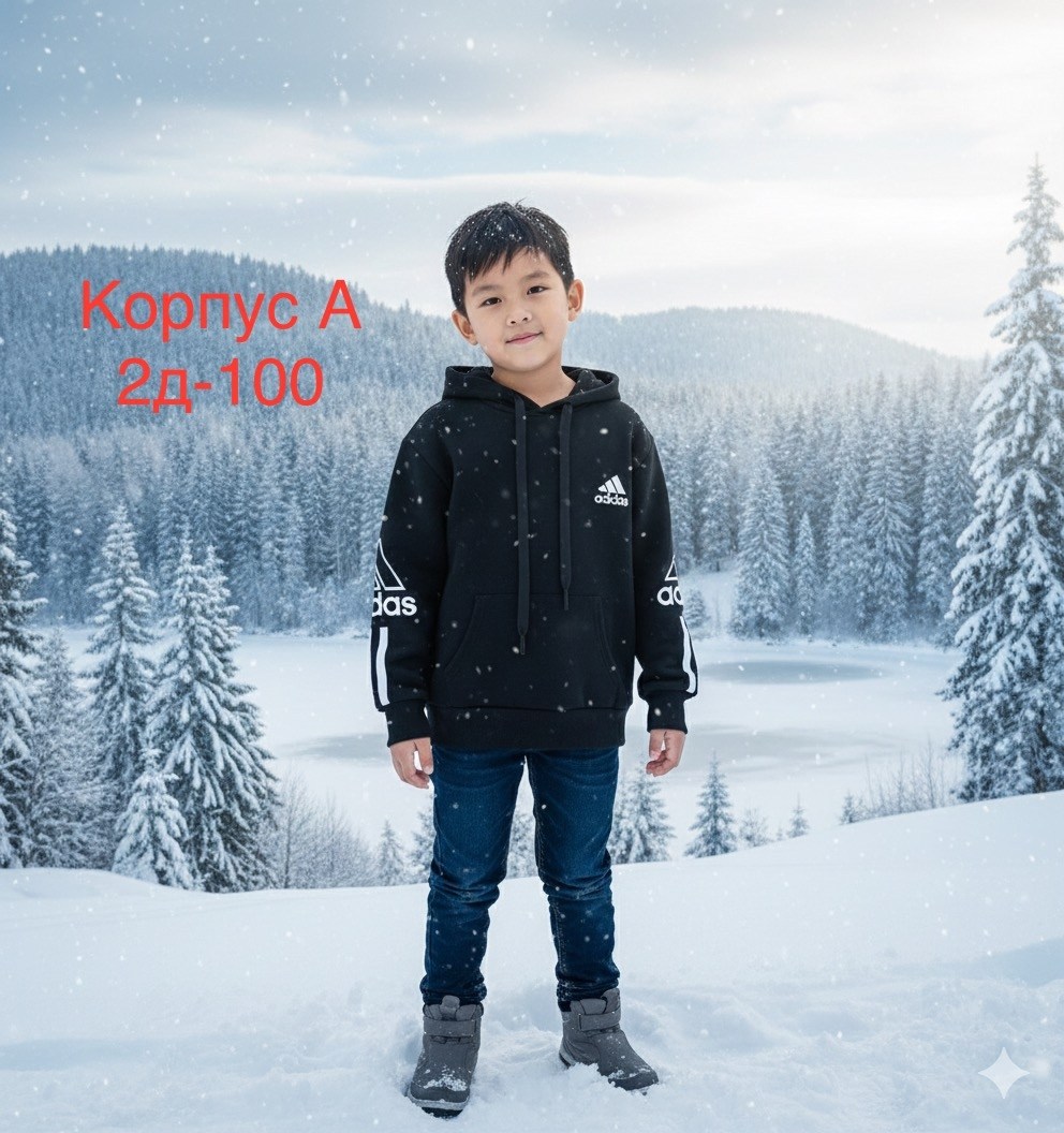 толстовка детская,толстовка для мальчиков,толстовка для мальчика next,толстовка с капюшоном для мальчика,толстовка подростковая