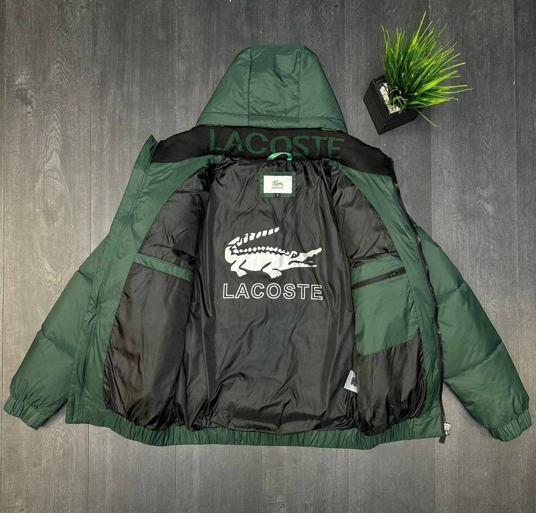 куртка lacoste зимняя,пуховик мужской lacoste,пуховик lacoste,куртка lacoste,зимняя куртка lacoste мужская
