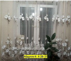 Одежда