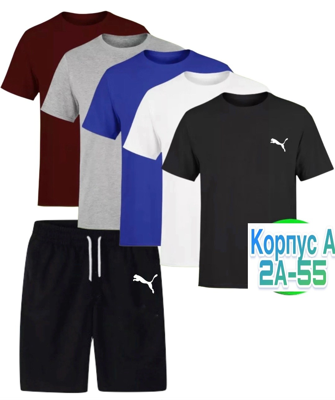 костюм спортивный мужской,спортивные костюмы,мужской летний комплект,одежда спортивная