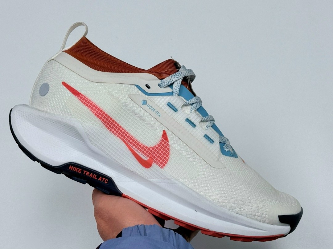 кроссовки nike pegasus trail,nike pegasus trail 5 gore tex,кроссовки nike,кроссовки мужские nike,nike pegasus trail 5