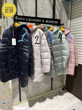 Верхняя одежда