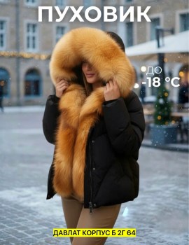 Верхняя одежда