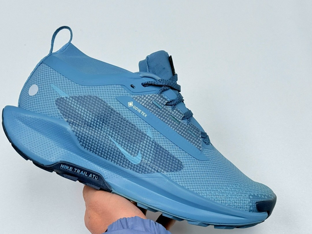 кроссовки nike pegasus trail,nike pegasus trail 5 gore tex,кроссовки nike,кроссовки мужские nike,nike pegasus trail 5