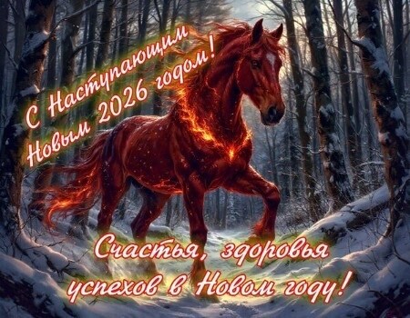 новый 2026 год красной огненной лошади,картинка с новым 2026 годом красной огненной лошади,открытка с годом красной огненной лошади,с наступающим,открытки с новым годом лошади 2026