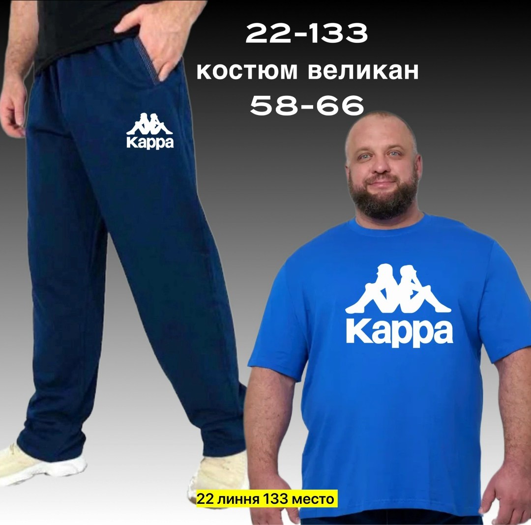 kappa authentic футболка,мужские футболки kappa,бренд kappa,каппа фирма,kappa