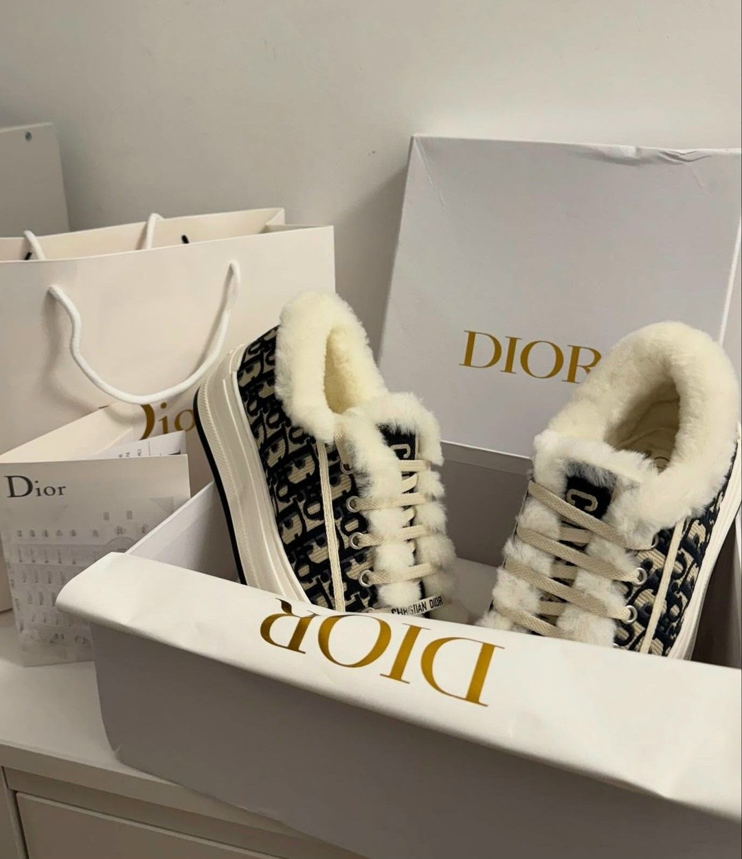 кеды walk n dior platform зимние на меху,женские зимние кеды с мехом christian dior walkn,кроссовки dior с мехом,женские зимние кеды с мехом christian dior walk'n',кеды christian dior walk'n'dior obli