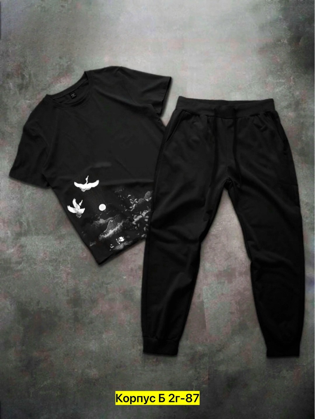 спортивные костюмы мужские,спортивные костюмы для мужчин,спортивный костюм мужской спортивный костюм,cпортивный костюм с футболкой,мужской костюм футболка штаны
