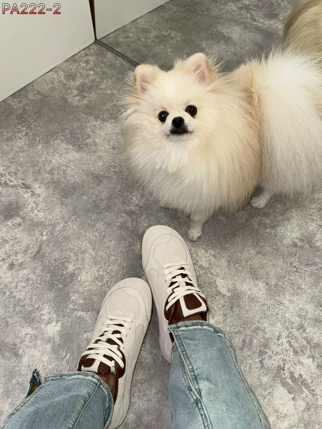 кроссовки bottega veneta,кроссовки,кроссовки женскиe,кроссовки valentino,спортивная