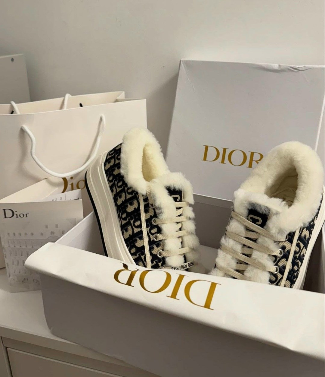 женские зимние кеды с мехом christian dior walk'n',женские кроссовки кеды с мехом dior walk'n'dior,женские зимние кеды с мехом christian dior walkn,женские зимние кеды с мехом christian dior walk'n' с