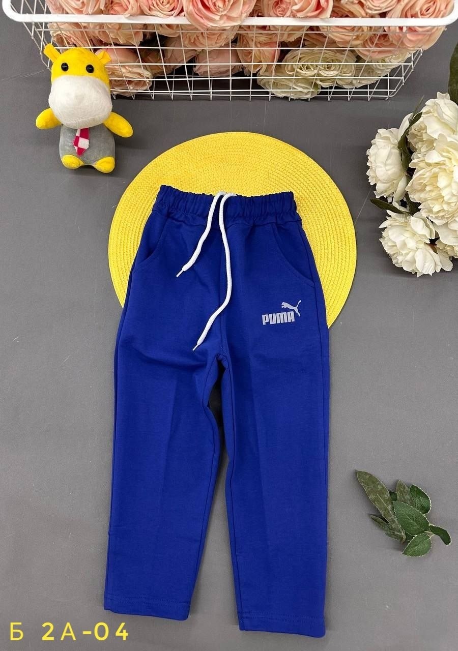 одежда для мальчика,брюки для мальчиков,одежда для детей,брюки для мальчика детские,комплект свитшот