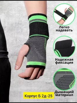 Одежда