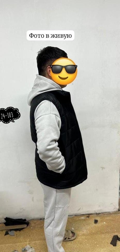 спортивный костюм мужской на флис,костюм-тройка мужской: жилет, толстовка и штаны арт. 1331595,мужской костюм на флисе тройка,костюм-тройка мужской: жилет, толстовка и штаны арт. 1331592,жилет спортив