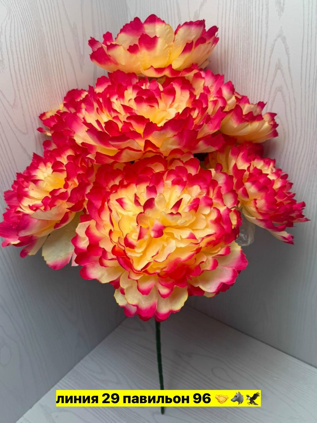 розовые пионы,пион,пионы большие,пион из гофрированной бумаги,пиона цветок