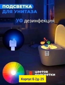 Одежда