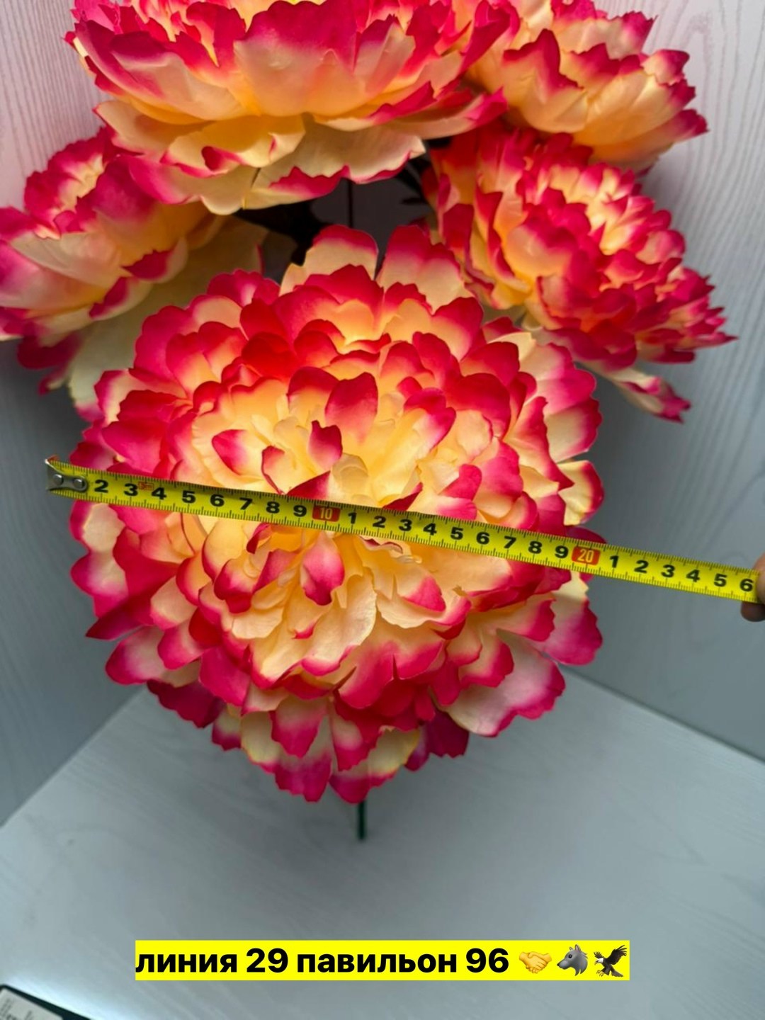 розовые пионы,пион,пионы большие,пион из гофрированной бумаги,пиона цветок