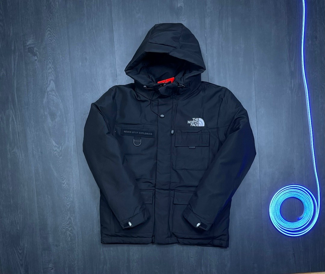 пуховик the north face gucci,зимняя куртка the north face,зимняя куртка пуховик gucci x the north face,пуховик the north face 700 gucci,куртка the north face x gucci цвет зеленый