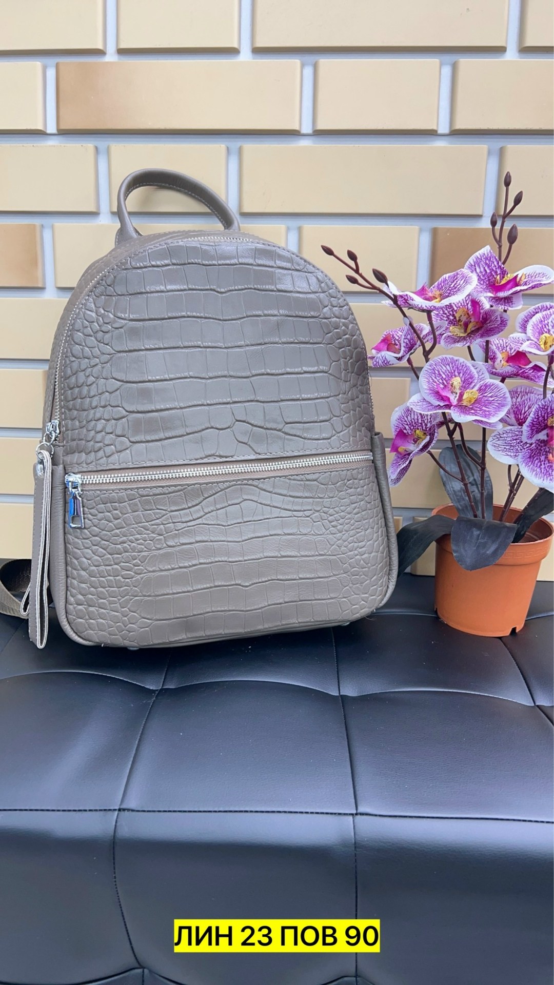 женские рюкзаки,рюкзак женский кожаный,рюкзак,кожаные рюкзаки,модные рюкзаки