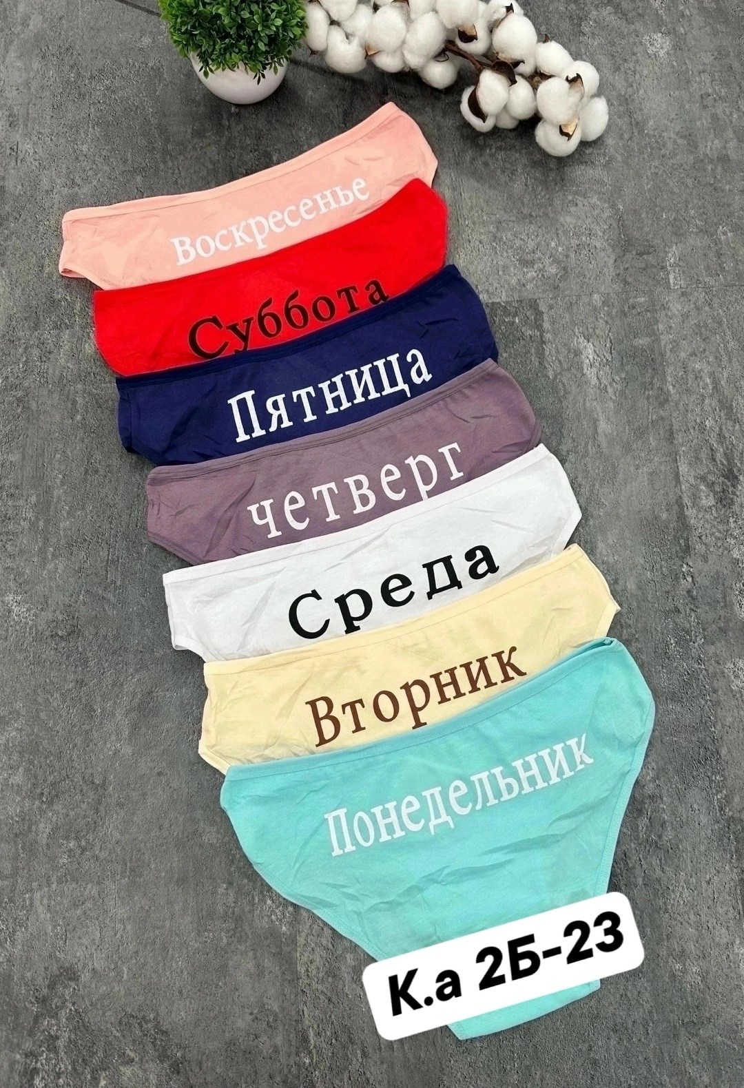 трусы женские неделька,трусы неделька,трусы неделька для женщины,трусы неделька 7 штук begain store,женские трусы