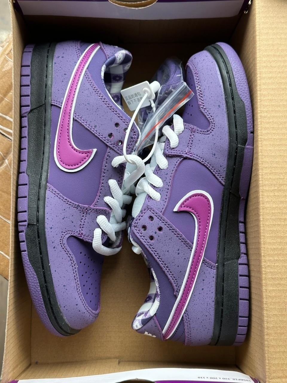 nike sb dunk low purple lobster,кроссовки nike sb dunk low purple lobster,nike sb dunk low purple,nike sb dunk low concepts purple lobster,nike sb dunk purple lobster